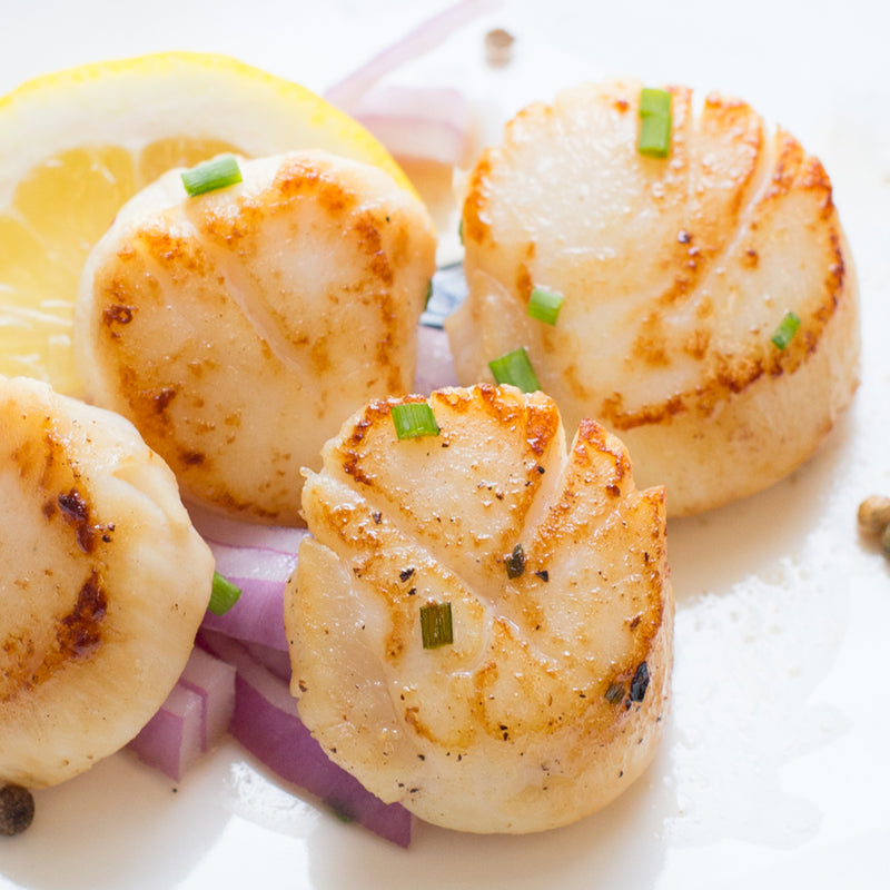 Wild Dry Pack Scallops